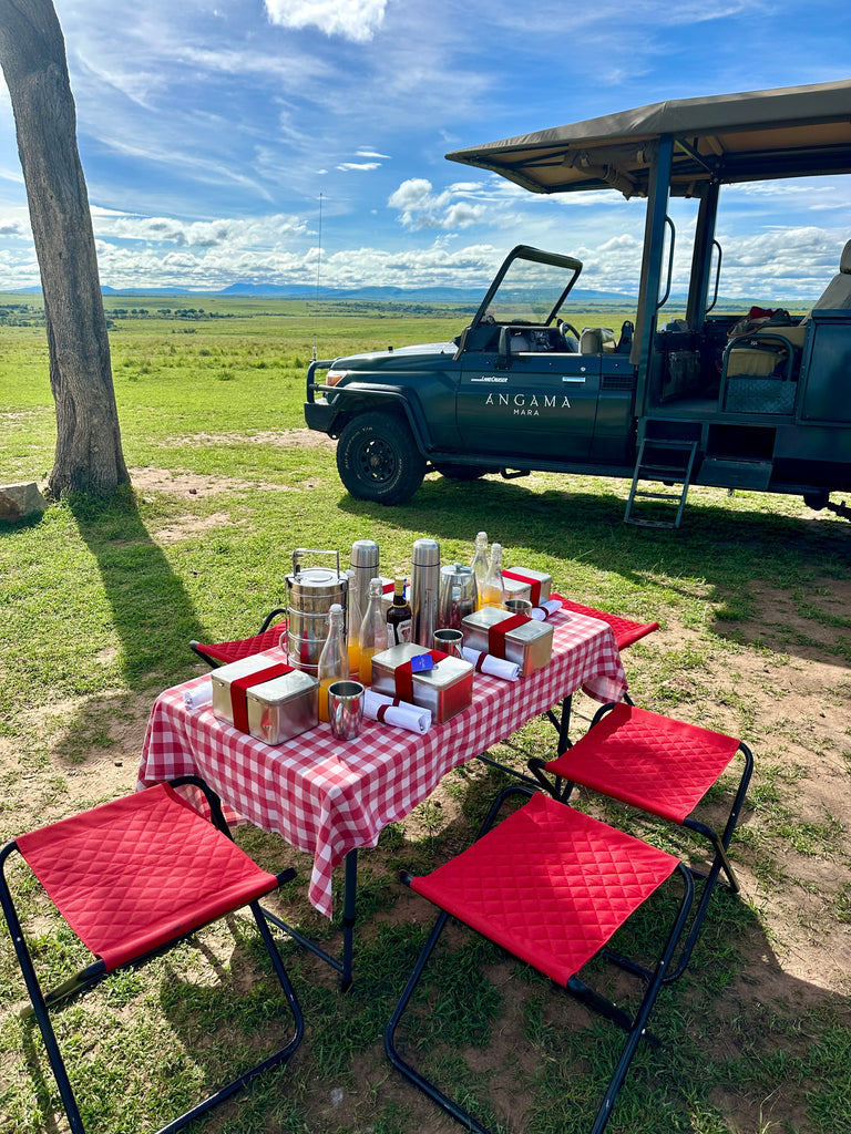 An African Journey Like No Other Begins with an Angama Safari