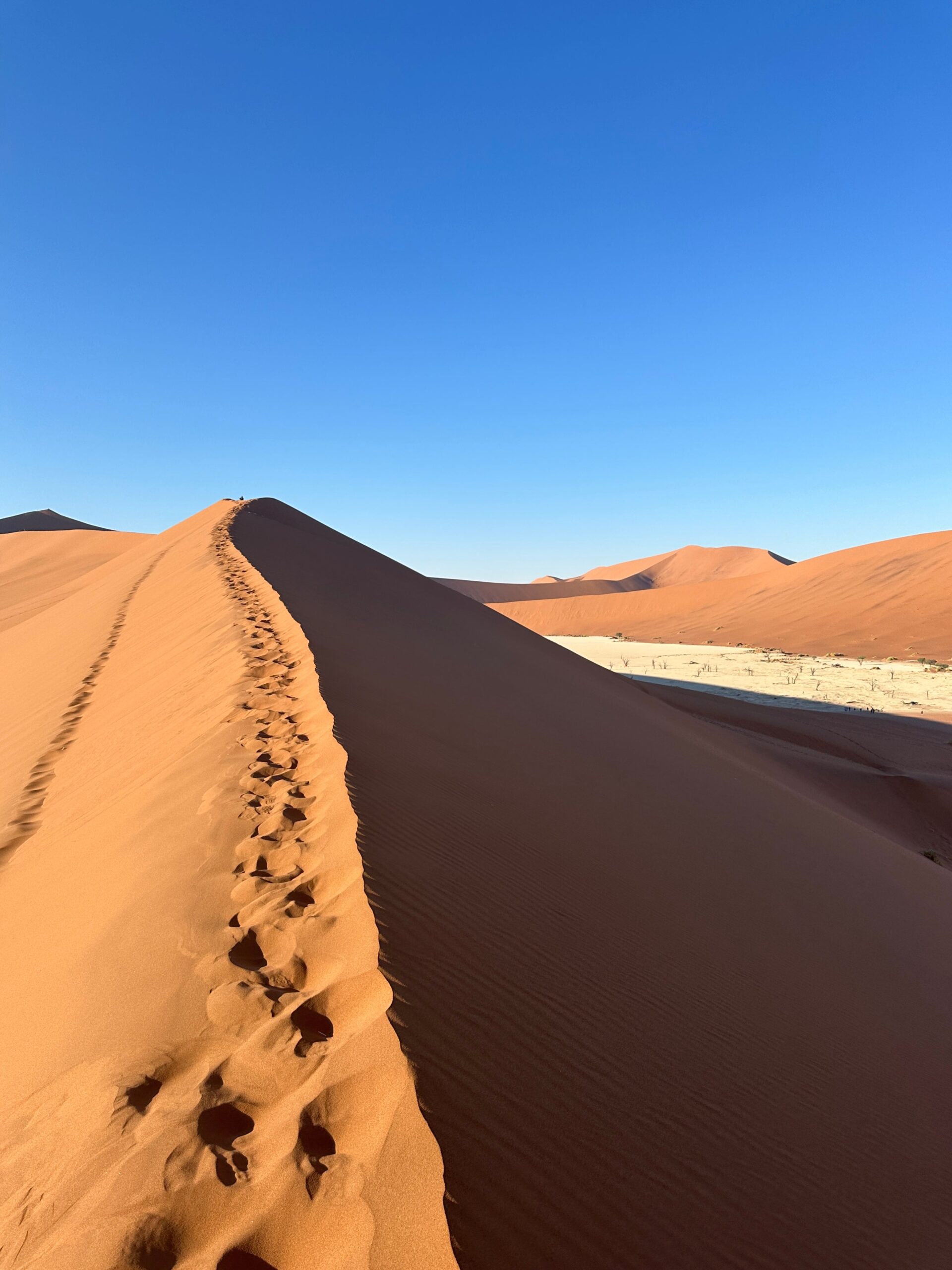 The sandy dunes and expansive deserts of Namibia